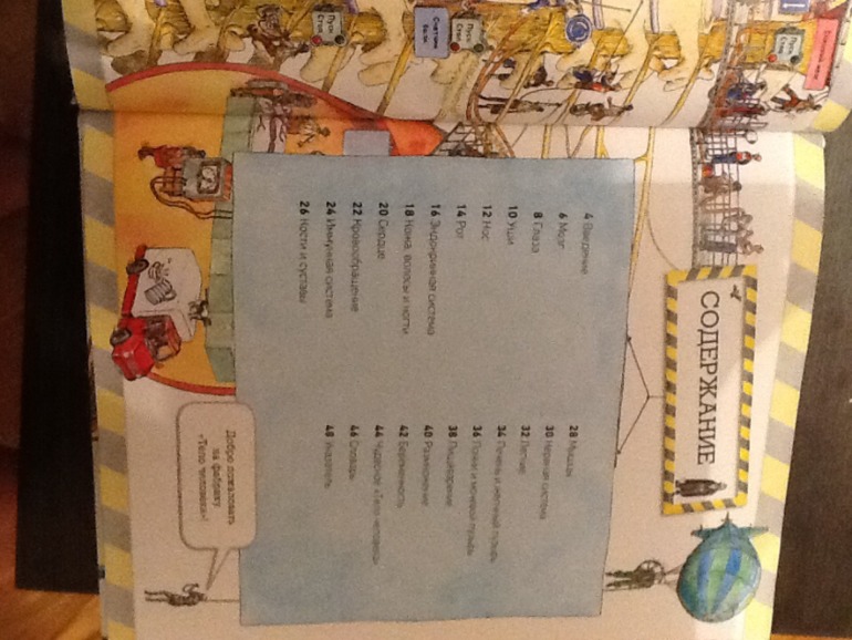 Тело человека!!!!