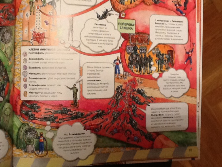 Тело человека!!!!