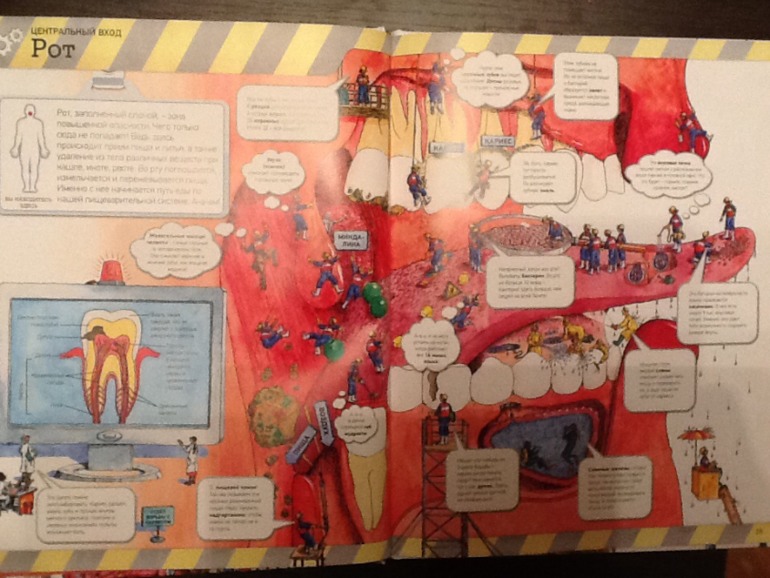 Тело человека!!!!