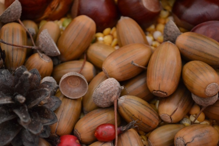 Тематические дни