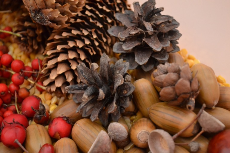 Тематические дни