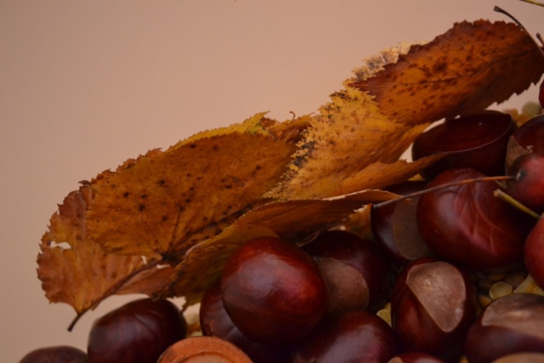 Тематические дни