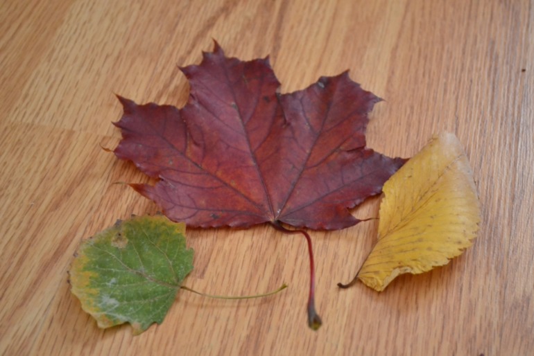 Тематические дни