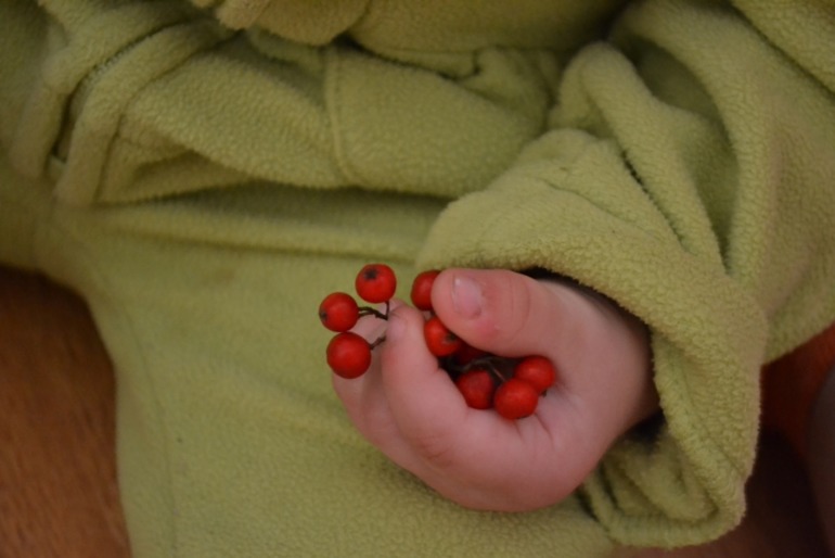 Тематические дни