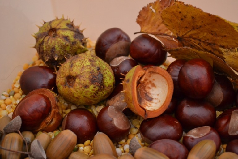 Тематические дни