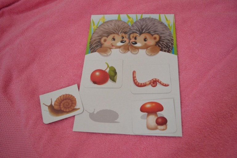 Тематические дни