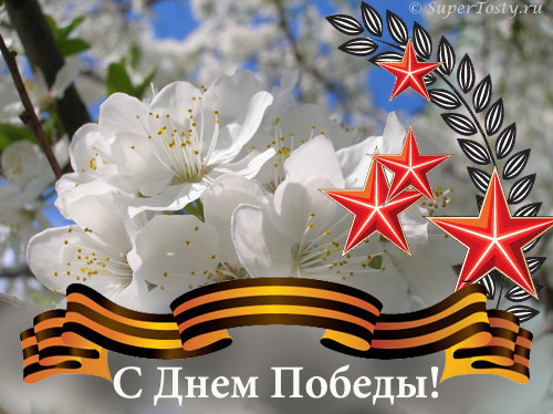 09eb2c11b4a7a82d33ccfab19ea9439c.jpg
