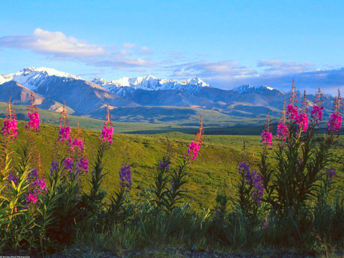 Контрольное задание № 16. Увеличение насыщенности