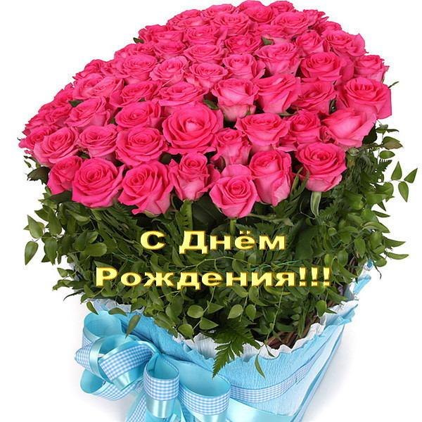 a8270a43ed4252703537fc980fa5e174.jpg
