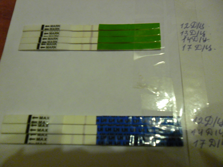 Помогите мне разобраться с тестами!??