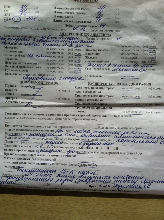 Help... Результаты узи...