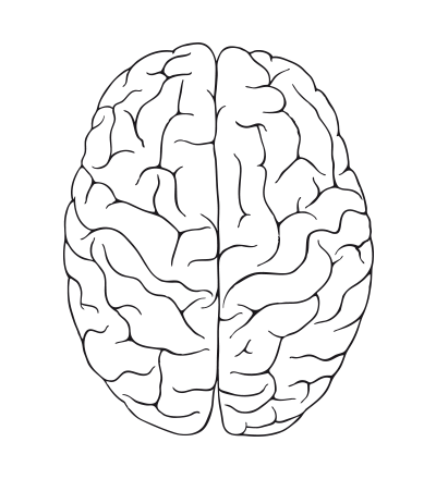 Атрофия полушарий мозга. Схематичное изображение мозга. Мозг рисунок. Полушария мозга. Мозг человека раскраска.
