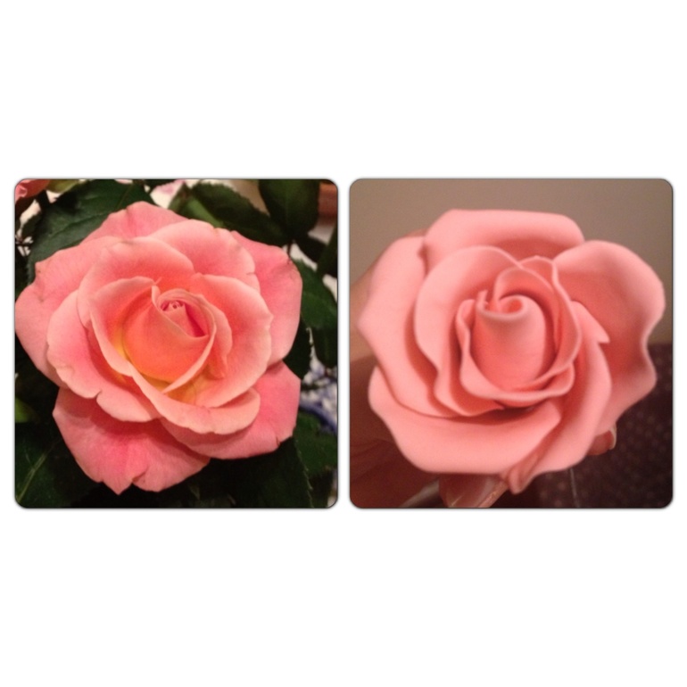 Розочка без курсов