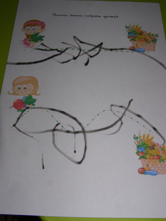 ТН Овощная. Свёкла, репа и редис.