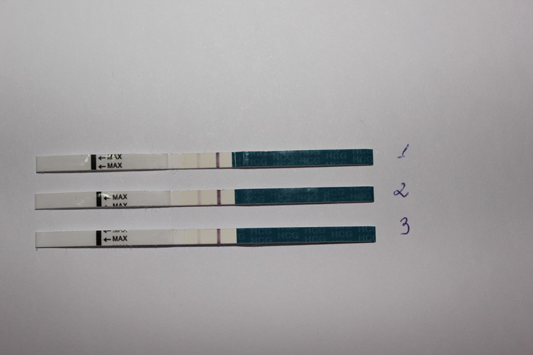 Мои тесты не ярчают(((((