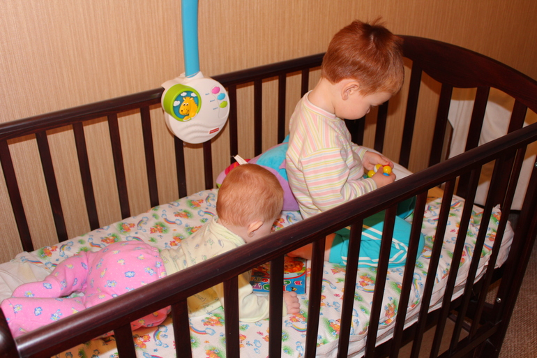 Про моих рыжиков)