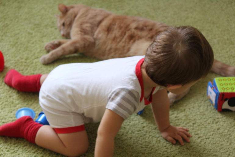 Рыжий ловелас