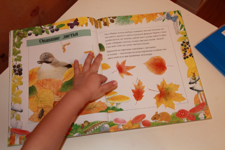 Осеннее творчество Анастасии