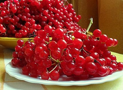 ГОТОВИМ С РЕБЕНКОМ. ПОЛОСАТЫЕ ФРУКТЫ