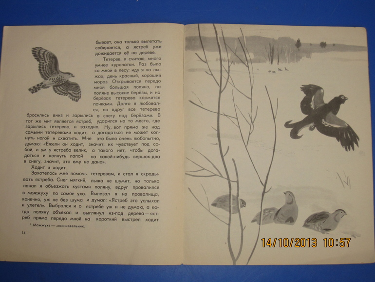 Маршак с Митуричем и неизвестный Носов