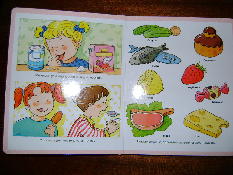 Энциклопедия малыша