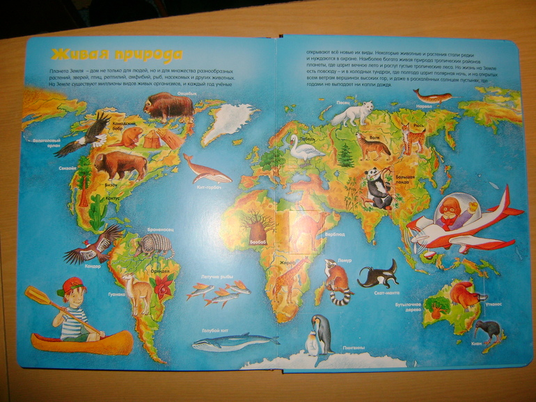 Энциклопедии с секретами