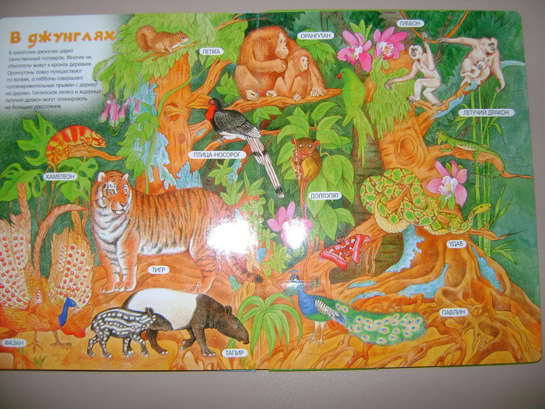 Энциклопедии с секретами