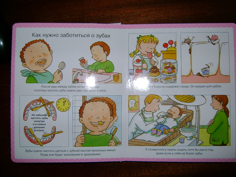 Энциклопедия малыша