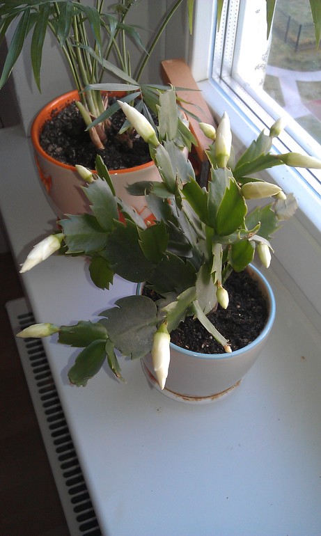 Еще вопрос о шлюмбергере.