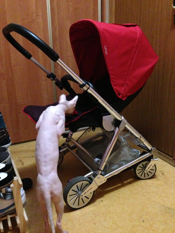 К зиме готовы!!!