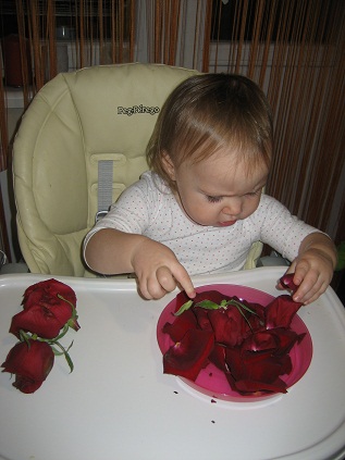 Изучаем красный цвет.