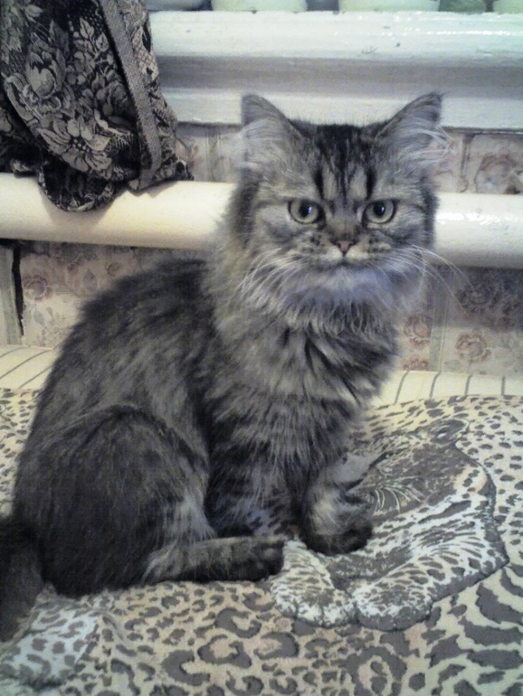 Внезапное исчезновение