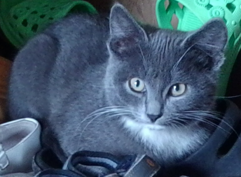 Внезапное исчезновение