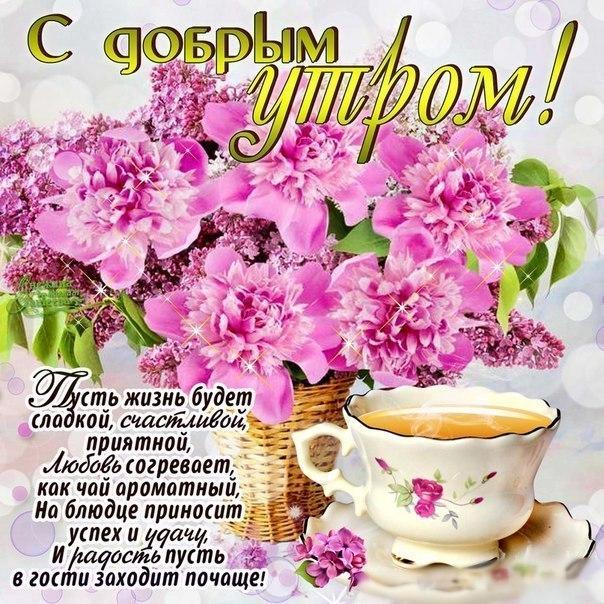 https://cdn3.imgbb.ru/community/75/753495/201810/d21c21242253fb99cef45c1e2c8ffdbf.jpg