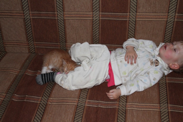 Котик наш чудит