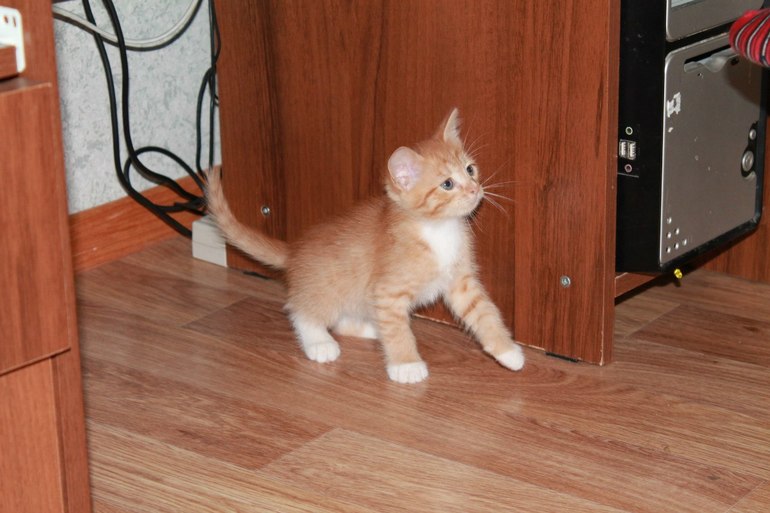 Наше маленькое солнышко!