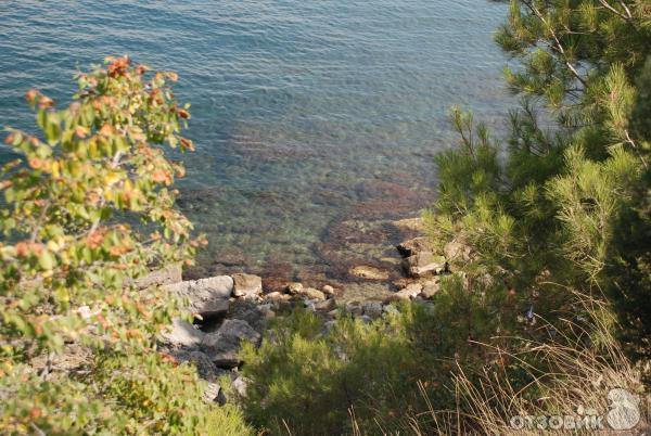 5bf06b45e6ee1459b602dbcbb78992bc.jpg