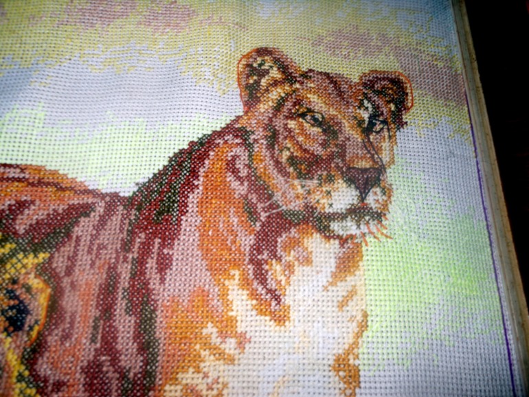 Начало пути)