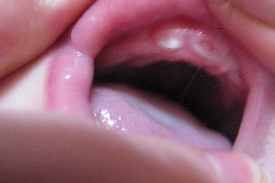 49e4cab23b27022968ecbda91444965f.jpg