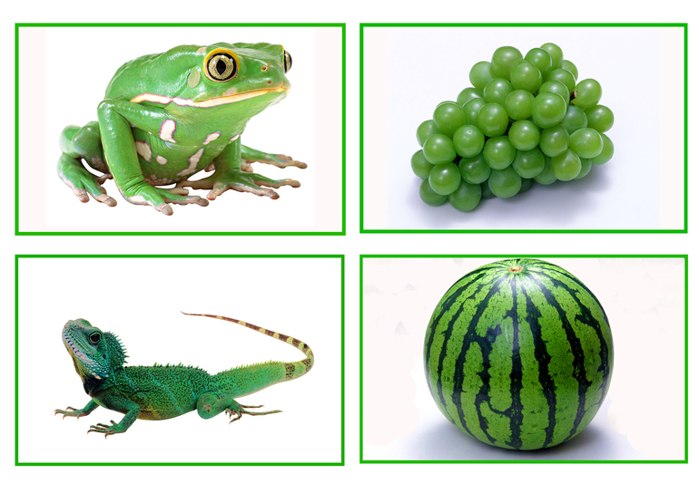 5 предметов зеленого цвета. Предметы зеленого цвета. Зеленый цвет для дошкольников. Предметы зеленого цвета для малышей. Изучения зеленого цвета для детей.