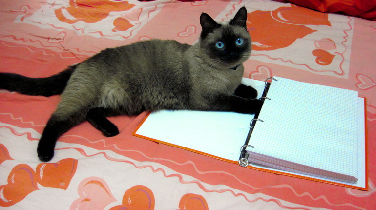 Взлет №67. День 4