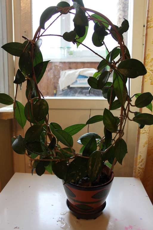 Провела перепись населения.Ну и фото на память.