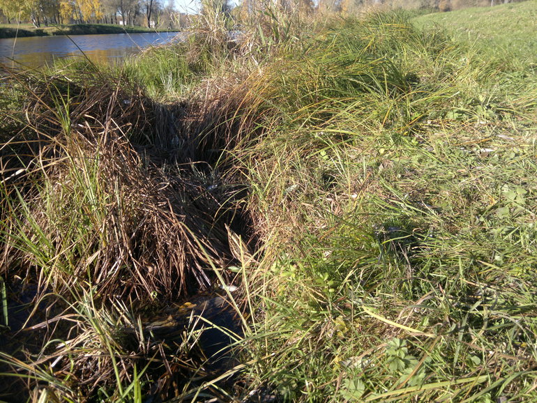 Наше осеннее