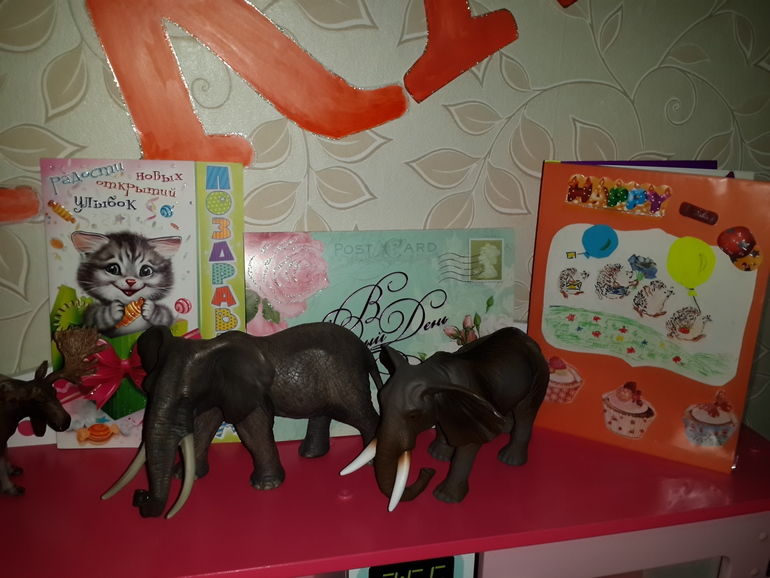 О том, как провели первые 2 недели декабря