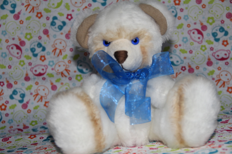 МИШКА.....на выставку...