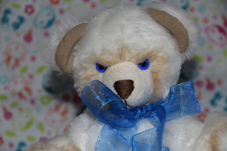 МИШКА.....на выставку...