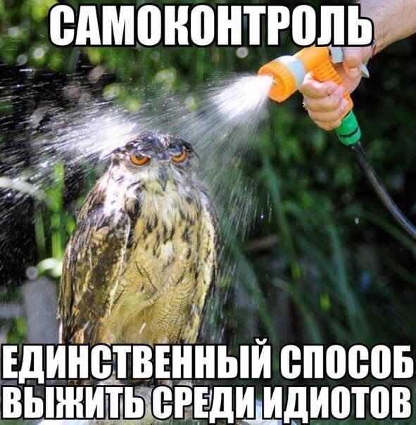 313aad0fe3862e4a70a70188d75a5f48.jpg