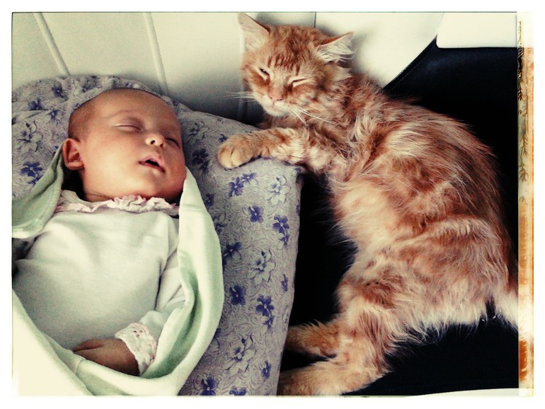 Тихая жизнь:-)