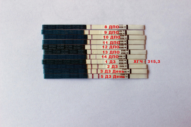 a4f950e6b0fb35379ef6aa17db3b5dbe.jpg