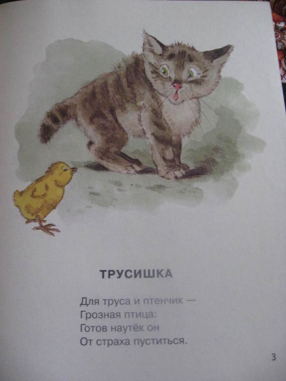 Я Нашла В Саду Котенка